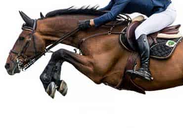 Salto de Obstáculos