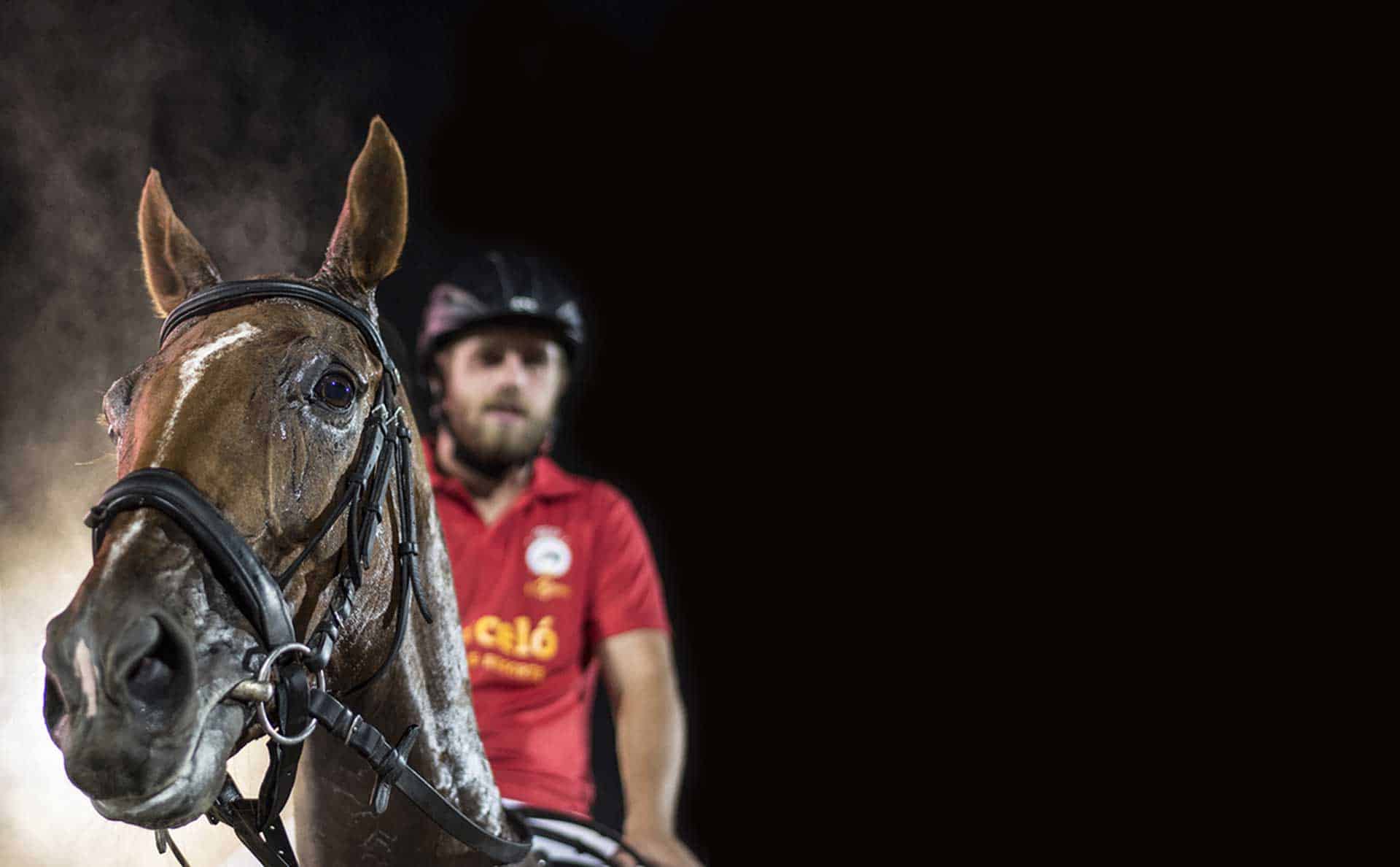 Team Building con Caballos